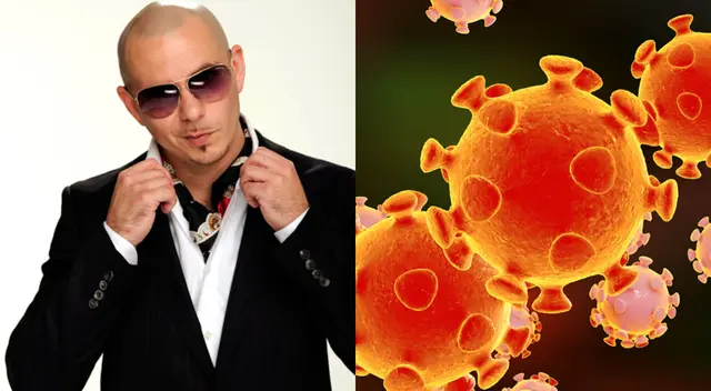 Una gran noticia para los fans de Pitbull.