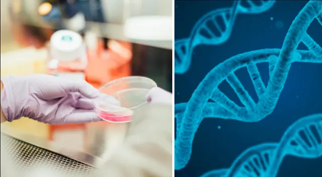Biobancos de Europa y los Estados Unidos han expresado su interés en aportar los datos de COVID-19 . Biobancos de Europa y los Estados Unidos han expresado su interés en aportar los datos de COVID-19 .