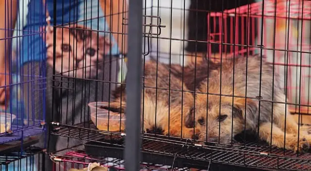 China ha sobrepasado los 82 000 infectados y las 3300 muertes por el nuevo coronavirus.