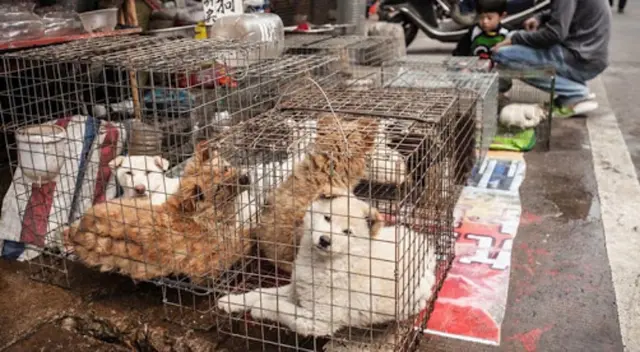 China ha sobrepasado los 82 000 infectados y las 3300 muertes por el nuevo coronavirus.