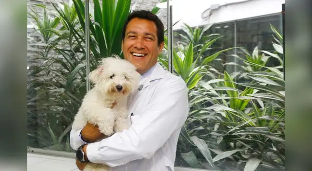 Las mascotas no pueden ni contraer ni transmitir el nuevo coronavirus a la persona. Las mascotas no pueden ni contraer ni transmitir el nuevo coronavirus a la persona.