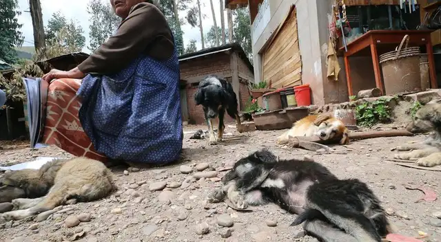 Anciana pide ayuda ante el estado de emergencia.