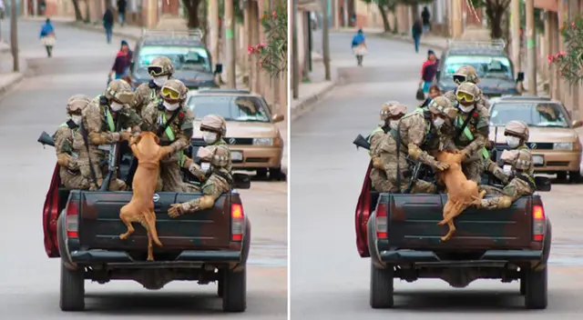 Cibernautas en Facebook aplaudieron la noble acción de los soldados para con nuestros amigos perrunos.