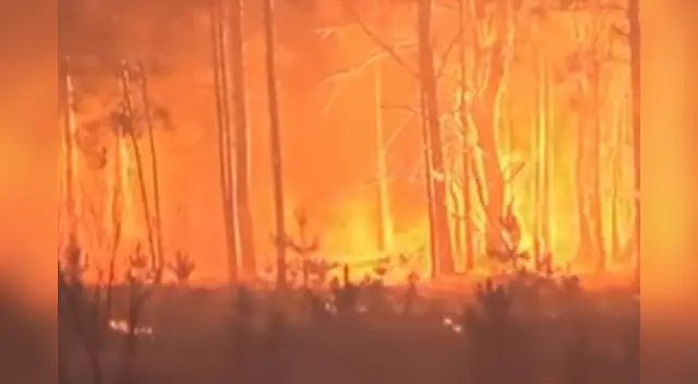 Las llamas se extendieron a más de 100 hectáreas en la superficie forestal.