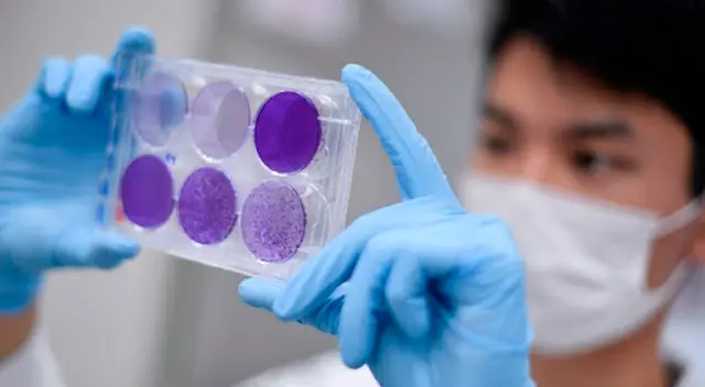 Empresa de tabaco está buscando una vacuna para el coronavirus Empresa de tabaco está buscando una vacuna para el coronavirus