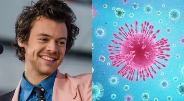 Harry Styles sorprendió con gran manera de ayudar durante la cuarentena.