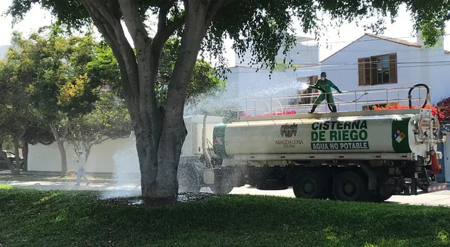 Riego de árboles en Magdalena del Mar. Riego de árboles en Magdalena del Mar.