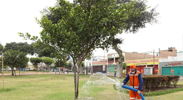 Riego de árboles en Magdalena del Mar. Riego de árboles en Magdalena del Mar.
