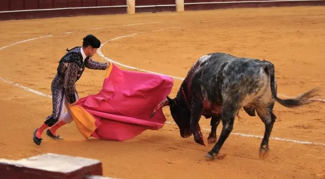Madrid, Valencia, Castellón, Mauricia, Arnedo han cancelado cerca de 21 corridas de toros. Madrid, Valencia, Castellón, Mauricia, Arnedo han cancelado cerca de 21 corridas de toros.