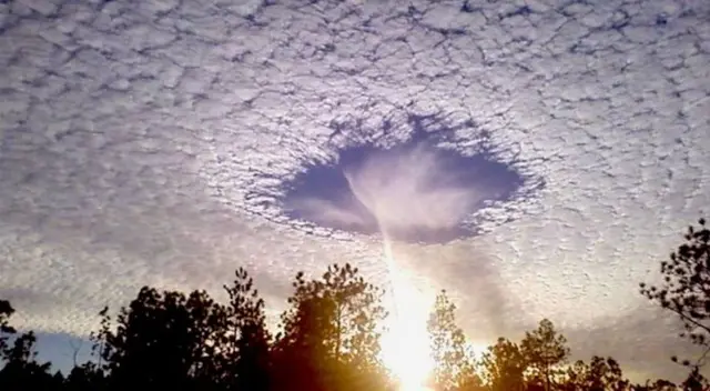 Los cielomotos se han reportado en Estados Unidos, América del Sur y Australia.