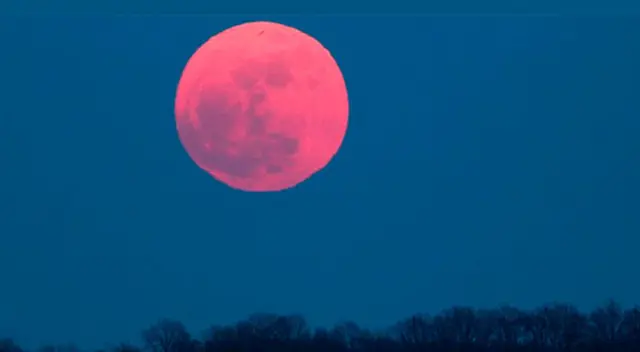 Sigue todas las incidencias de la Superluna rosa que podrá ser vista este martes 7 y miércoles 8 de abril.