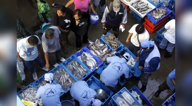 Municipalidad del Callao cerró el terminal pesquero de Ventanilla. Municipalidad del Callao cerró el terminal pesquero de Ventanilla.