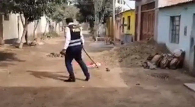 Hallan restos humanos en Trujillo. Hallan restos humanos en Trujillo.