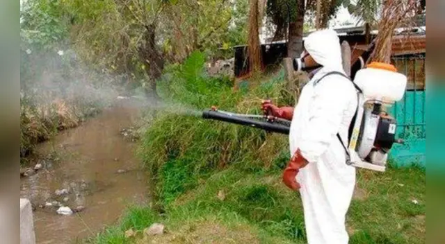 La municipalidad vino a fumigar la casa de Lucas, pero ya era demasiado tarde. La municipalidad vino a fumigar la casa de Lucas, pero ya era demasiado tarde.