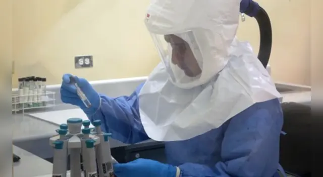 Los expertos del estudio señalaron que infectaron las células renales de un mono con una cepa aislada de una paciente alemana para el procedimiento de la investigación. Los expertos del estudio señalaron que infectaron las células renales de un mono con una cepa aislada de una paciente alemana para el procedimiento de la investigación.