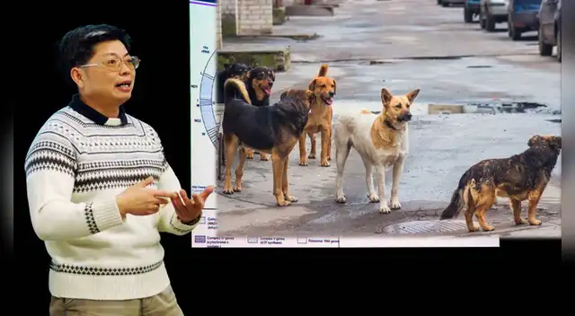 Xia estudió 1.252 genomas de betacoronavirus registradas en GenBank para hallar el origen del coronavirus.