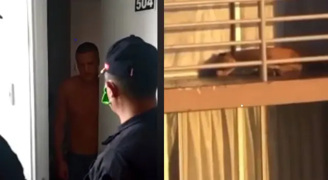 Hombre cometió delito de maltrato animal y fue dirigido a la dependencia de Chorrillos.