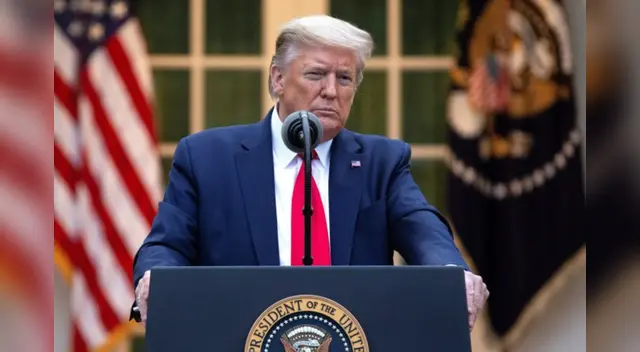 Donald Trump investigará a China por el origen del covid-19. Donald Trump investigará a China por el origen del covid-19.