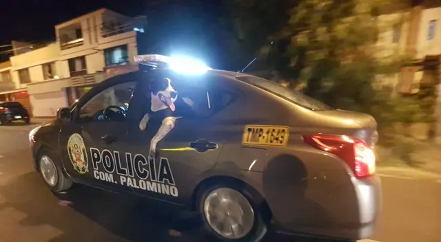 Conoce la verdadera historia detrás del video que se hizo viral.