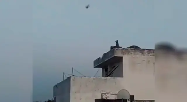 El confinamiento ha hecho que el mundo animal recupere su hábitat .