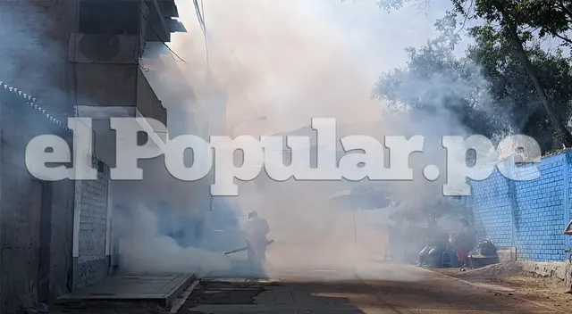 Fumigan calles en Collique. Fumigan calles en Collique.