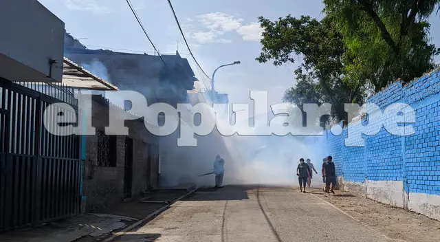 Fumigan calles en Collique. Fumigan calles en Collique.