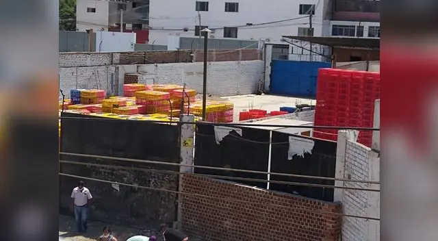 Mataderos ilegales de pollos en Ate.