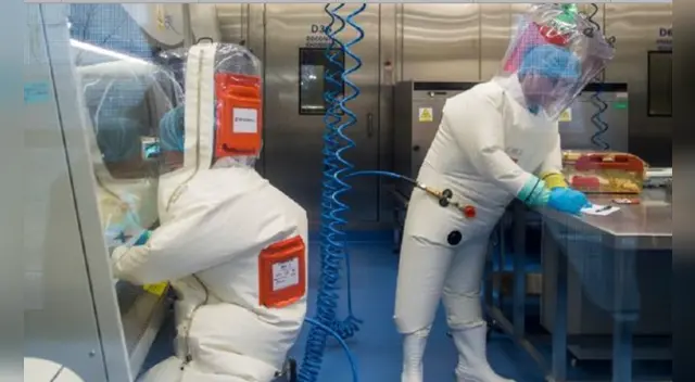 El virólogo afirmó que ninguno de sus trabajadores resultó infectado de coronavirus.