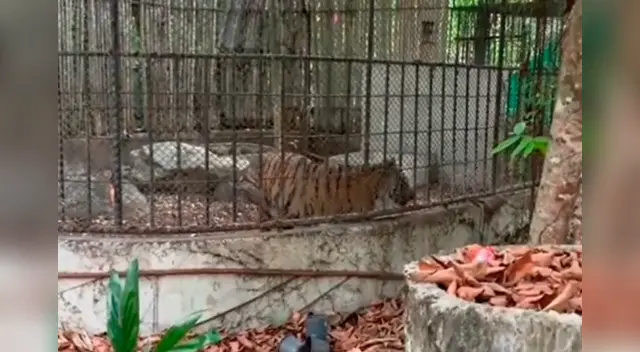 Hasta el momento, se ha podido recaudar 38.000 dólares. Hasta el momento, se ha podido recaudar 38.000 dólares.