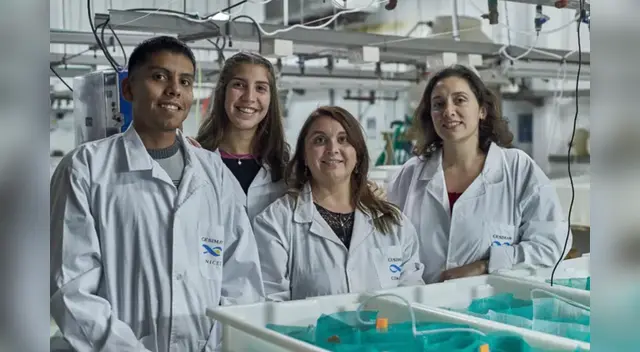 Este hallazgo impulsa la detección de propiedades para el tratamiento del COVID-19. Este hallazgo impulsa la detección de propiedades para el tratamiento del COVID-19.