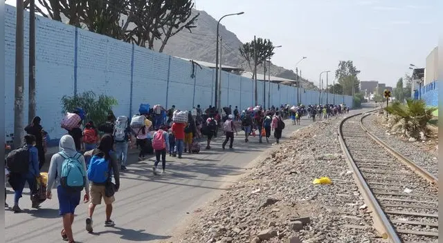 Varados en Lima por estado de emergencia.