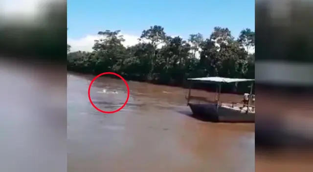 Trabajador ahogándose en río Mayo. Trabajador ahogándose en río Mayo.