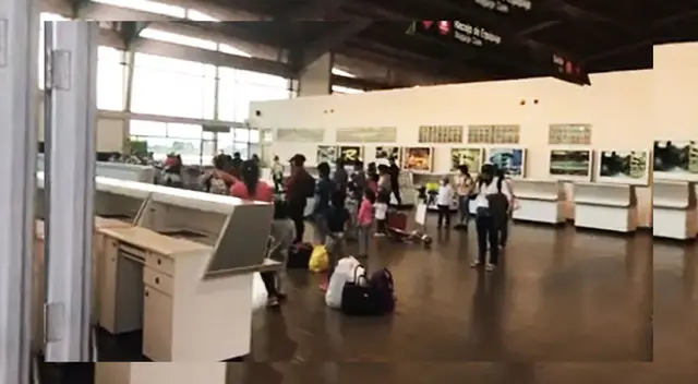 Varados llegaron a la región San Martín. Varados llegaron a la región San Martín.