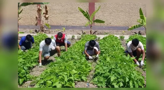 Bono rural: Este subsidio está destinado a personas en vulnerabilidad, en este caso para la población que se encuentre en las zonas más aisladas del Perú.