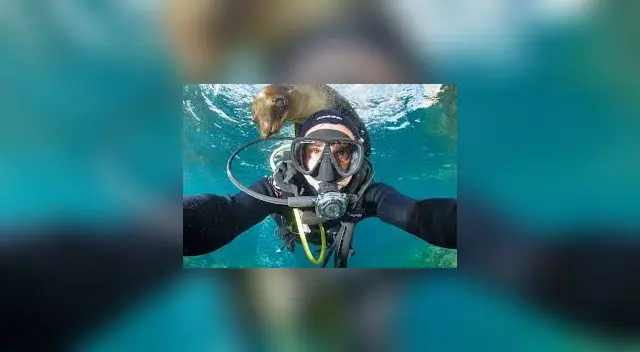 Octavio Aburto es investigador y divulgador de la ciencia, se enfoca en la conservación de hábitats marinos y costeros. Octavio Aburto es investigador y divulgador de la ciencia, se enfoca en la conservación de hábitats marinos y costeros.