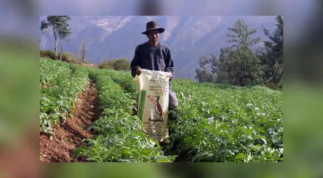 El bono rural de 760 soles es un subsidio monetario que el Gobierno entregará a familias que vivan en zonas alejadas de las ciudades del territorio peruano. El bono rural de 760 soles es un subsidio monetario que el Gobierno entregará a familias que vivan en zonas alejadas de las ciudades del territorio peruano.