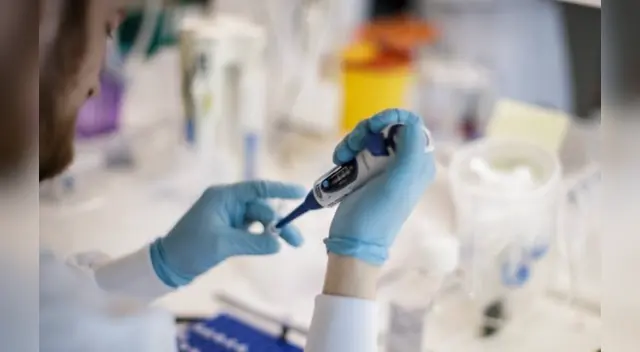 Los resultados deben ser todavía validados por la comunidad científica.