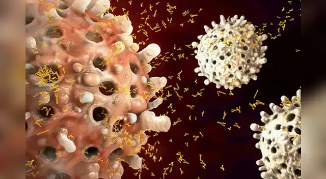 El organismo tarda semanas en crear efectivos anticuerpos para combatir el coronavirus, señala el especialista. El organismo tarda semanas en crear efectivos anticuerpos para combatir el coronavirus, señala el especialista.