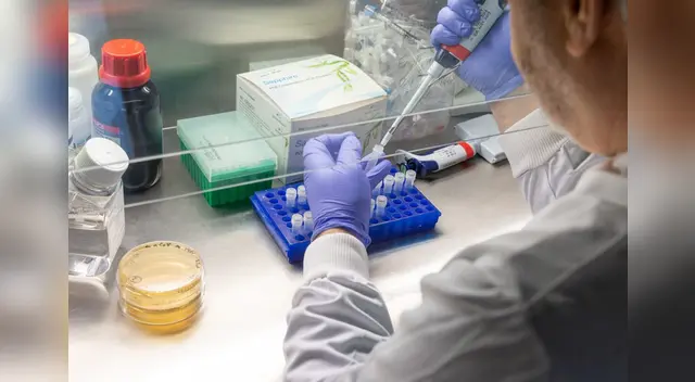 Universidad de Oxford indicó que la vacuna contra el covid-19 estaría listo para septiembre, pero con las declaraciones de Raab podría darse un cambio repentino. Universidad de Oxford indicó que la vacuna contra el covid-19 estaría listo para septiembre, pero con las declaraciones de Raab podría darse un cambio repentino.