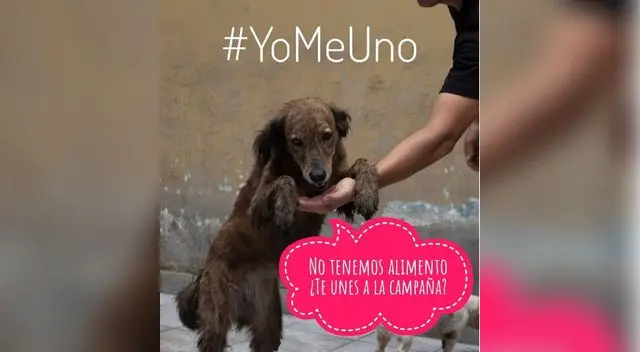a organización Fundación Rayito promueve la campaña “Yo me uno”. a organización Fundación Rayito promueve la campaña “Yo me uno”.