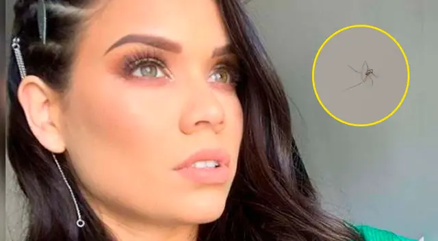 Andrea San Martín preocupada por arañas en su casa. Andrea San Martín preocupada por arañas en su casa.