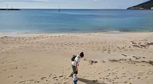 En las playas de Ibiza se encuentra este molusco.