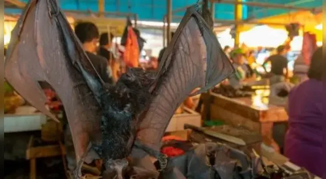 Los animales son vendidos a cuatro dólares en el mercado Tomohon Extreme Meat. Los animales son vendidos a cuatro dólares en el mercado Tomohon Extreme Meat.
