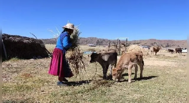 Bono rural de 760 soles: Conoce cómo acceder al subsidio monetario para zonas de vulnerabilidad.