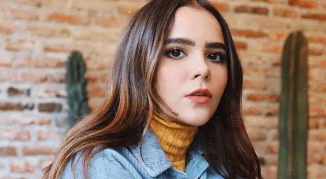 Según una usuaria de Twitter, la empresa le dijo a las autoridades que fabrican gel antibacterial pero en verdad no lo hacen.