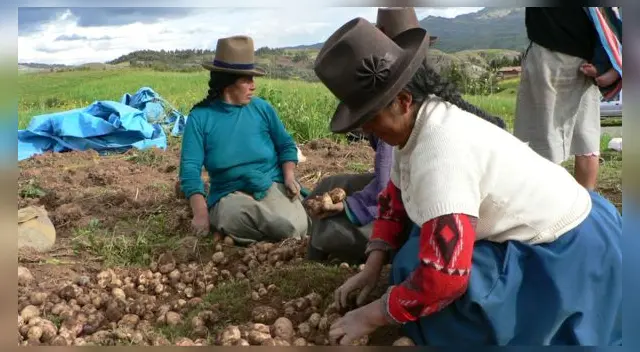 El bono rural se otorgará a las familias más vulnerables del Perú.