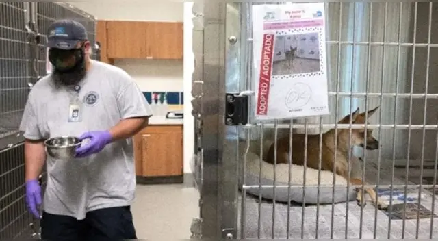 Cifra de animales infectados con el nuevo coronavirus ha ascendido. Cifra de animales infectados con el nuevo coronavirus ha ascendido.