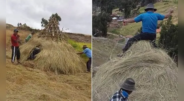 Pobladores crean chozas de Ichu