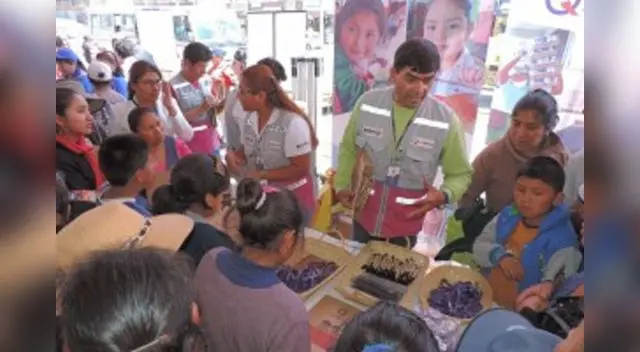 La Gerencia Regional de Educación en Arequipa suspende el programa de Qali Warma porque se debe resguardar la salud y la seguridad de los padres que son parte de los comités alimentación escolar La Gerencia Regional de Educación en Arequipa suspende el programa de Qali Warma porque se debe resguardar la salud y la seguridad de los padres que son parte de los comités alimentación escolar
