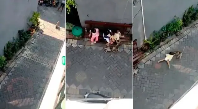 La historia terminó siendo parte del maltrato animal. La historia terminó siendo parte del maltrato animal.